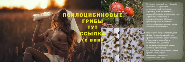 ешки Заводоуковск