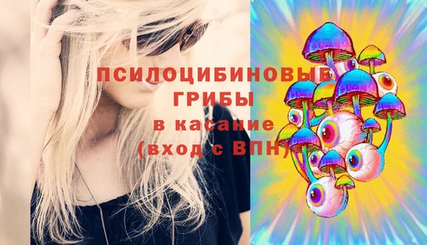 ешки Заводоуковск