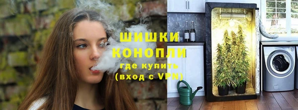 ешки Заводоуковск