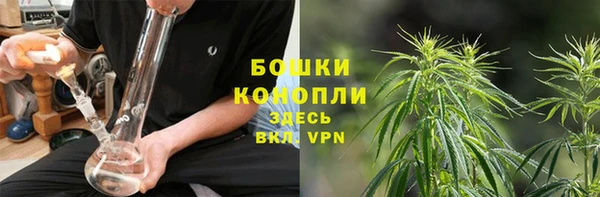 ешки Заводоуковск