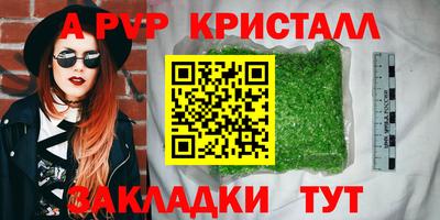 СК Кингисепп