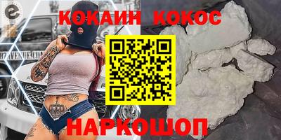 СК Кингисепп