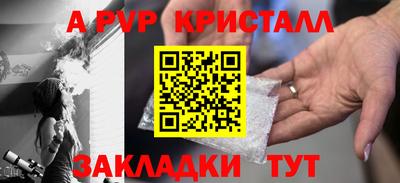 СК Кингисепп