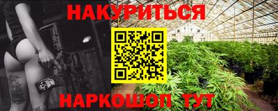 СК Кингисепп