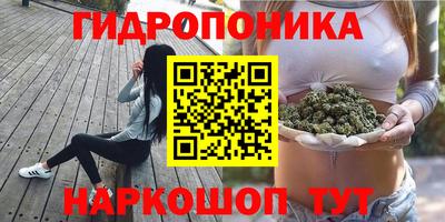 СК Кингисепп
