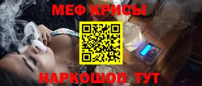 СК Кингисепп