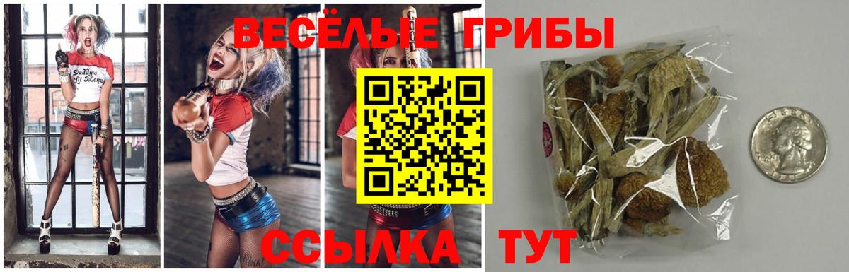 Псилоцибиновые грибы ЛСД  Вход с VPN  Галлюциногенные грибы Psilocybine cubensis  продажа наркотиков  Свободный 